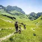 Daire Moulin Ml286 Mountain & Telecabine 6 Pers Châtel