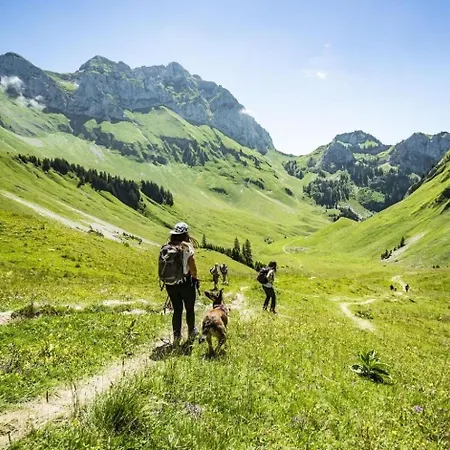 Appartamento Moulin Ml286 Mountain & Telecabine 6 Pers Châtel