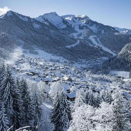 Moulin Ml286 Mountain & Telecabine 6 Pers Apartment