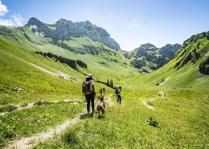 Apartman Moulin Ml286 Mountain & Telecabine 6 Pers Châtel