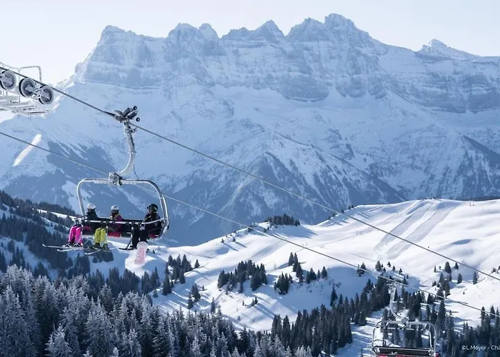 Moulin Ml286 Mountain & Telecabine 6 Pers Appartement
