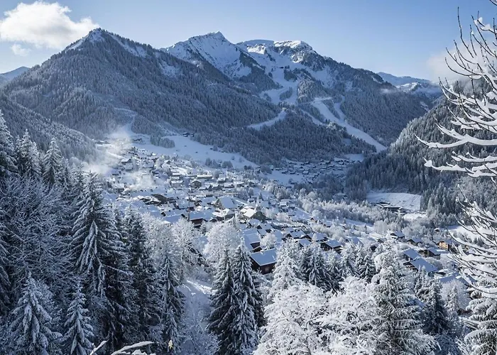 Moulin Ml286 Mountain & Telecabine 6 Pers Apartman